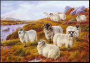 unknow artist Sheep 063 oil painting picture wholesale